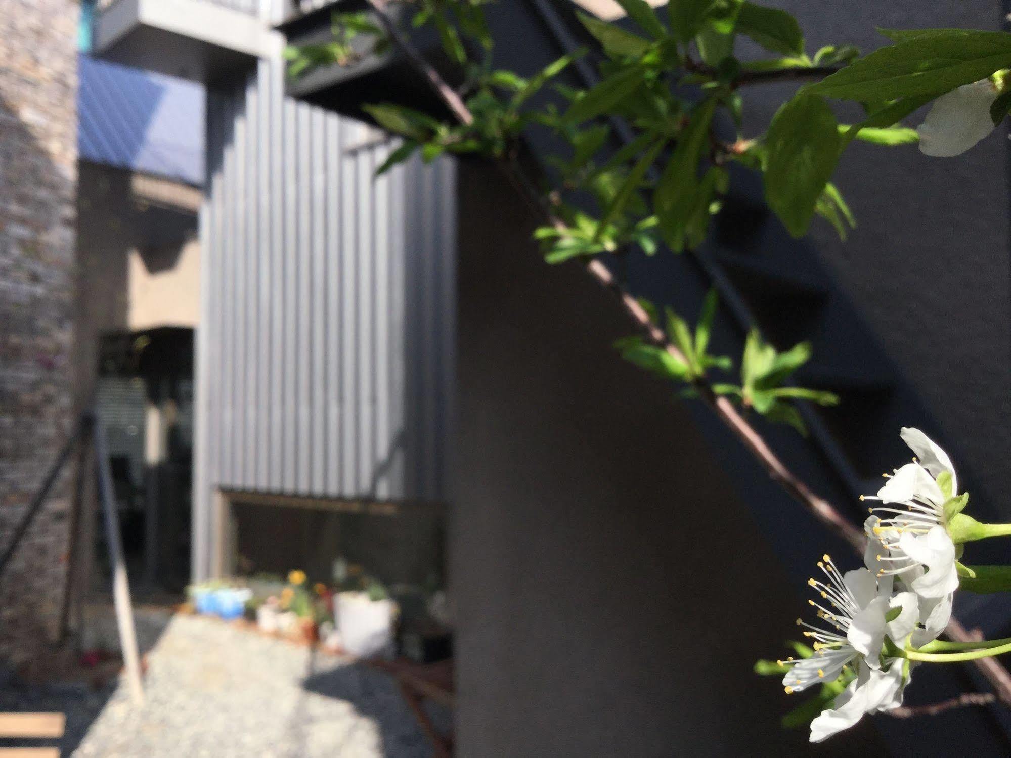 インサイド プサン ホステル 釜山広域市 エクステリア 写真